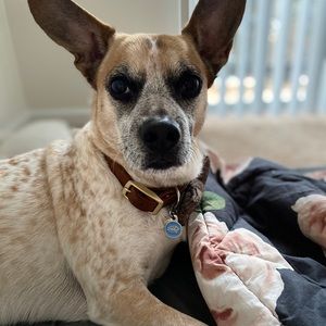 Meet your Posher, Victoria